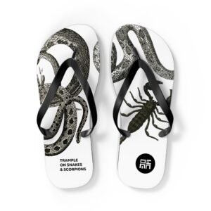 BIBLE Flip Flops with snakes and scorpions